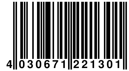 4 030671 221301