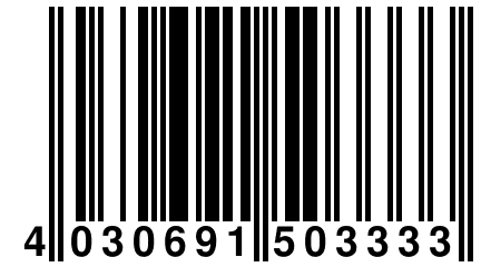 4 030691 503333