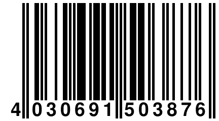 4 030691 503876