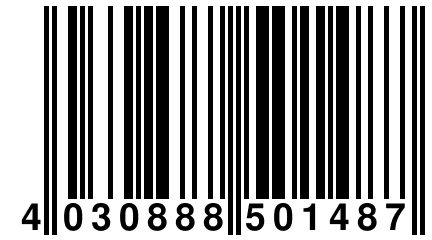 4 030888 501487