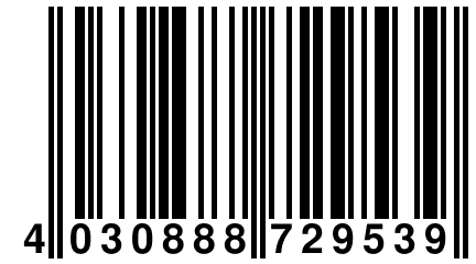 4 030888 729539