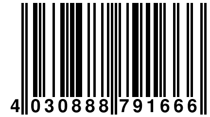 4 030888 791666