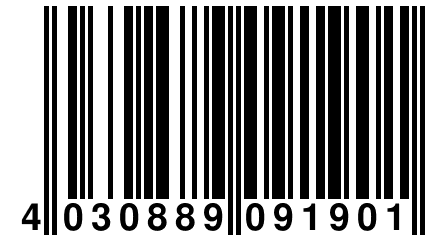 4 030889 091901