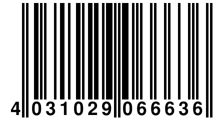 4 031029 066636