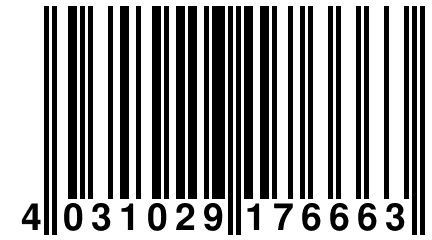 4 031029 176663