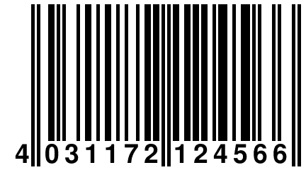 4 031172 124566