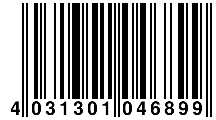 4 031301 046899