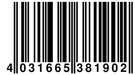 4 031665 381902