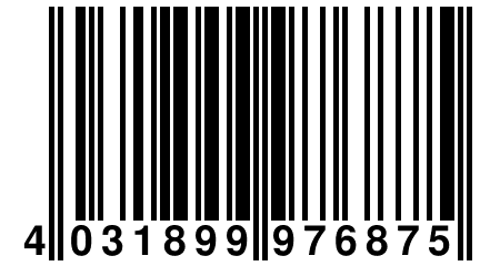 4 031899 976875