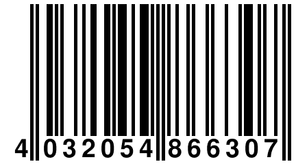 4 032054 866307