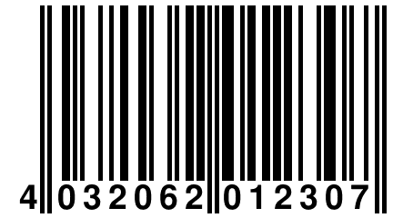 4 032062 012307