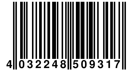 4 032248 509317