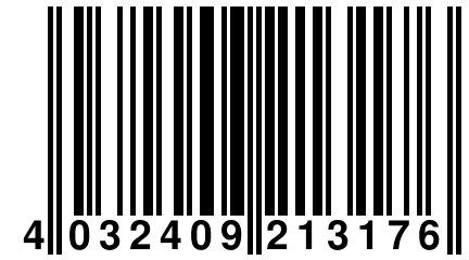 4 032409 213176