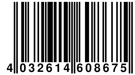 4 032614 608675