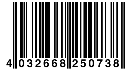 4 032668 250738