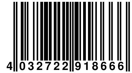 4 032722 918666