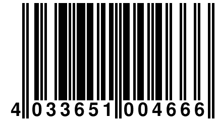 4 033651 004666