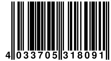 4 033705 318091