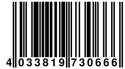 4 033819 730666