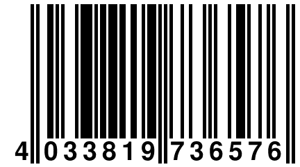 4 033819 736576