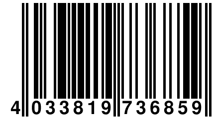 4 033819 736859