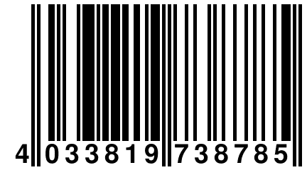 4 033819 738785