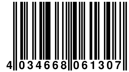 4 034668 061307