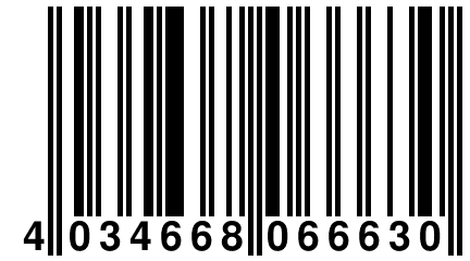 4 034668 066630