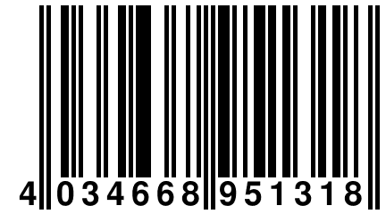 4 034668 951318