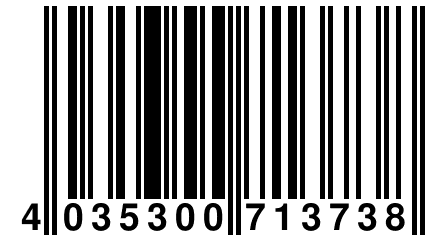 4 035300 713738