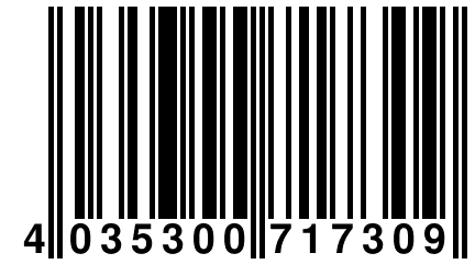 4 035300 717309