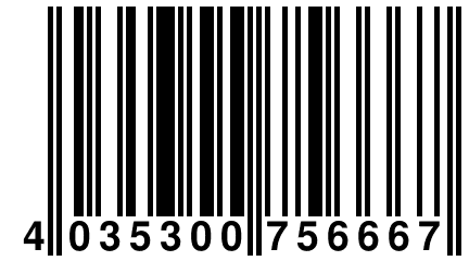 4 035300 756667