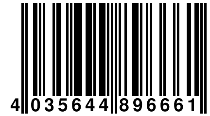 4 035644 896661