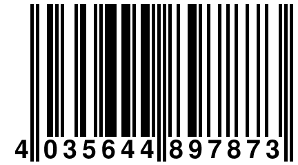 4 035644 897873