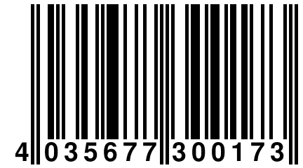 4 035677 300173