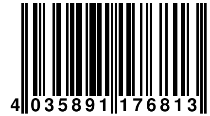 4 035891 176813