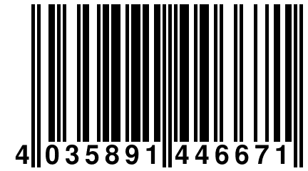 4 035891 446671