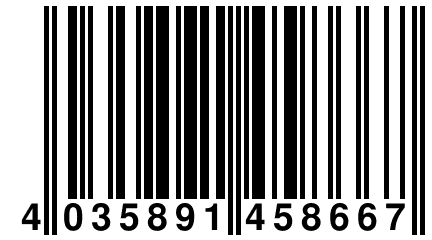 4 035891 458667