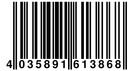 4 035891 613868