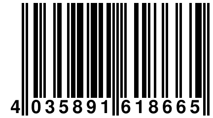 4 035891 618665