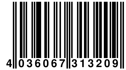 4 036067 313209