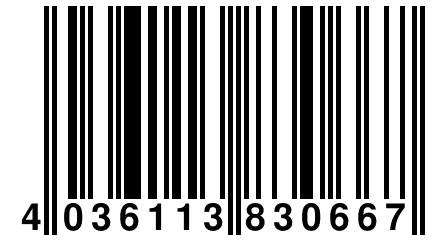 4 036113 830667