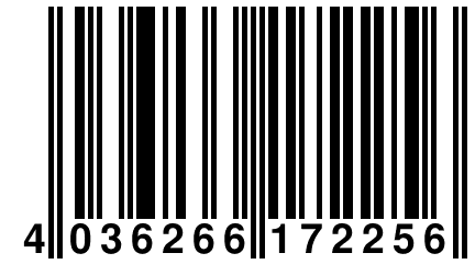 4 036266 172256