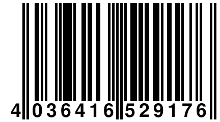 4 036416 529176