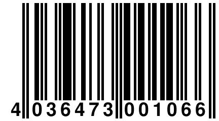 4 036473 001066