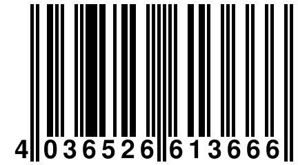 4 036526 613666