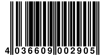 4 036609 002905