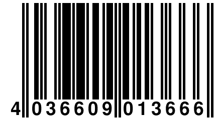 4 036609 013666