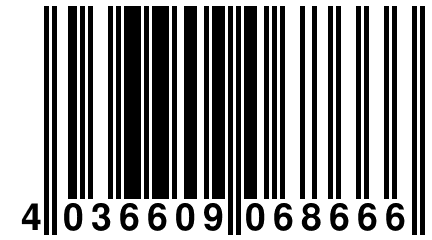 4 036609 068666