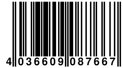 4 036609 087667